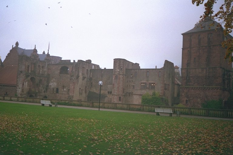 [ Rear wall of Heidelberg Castle ]