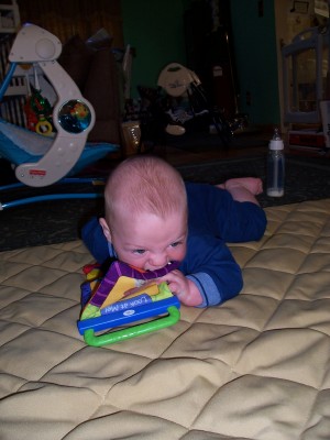 [Owen chewing on a book]